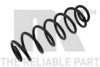 NK 542564 Coil Spring